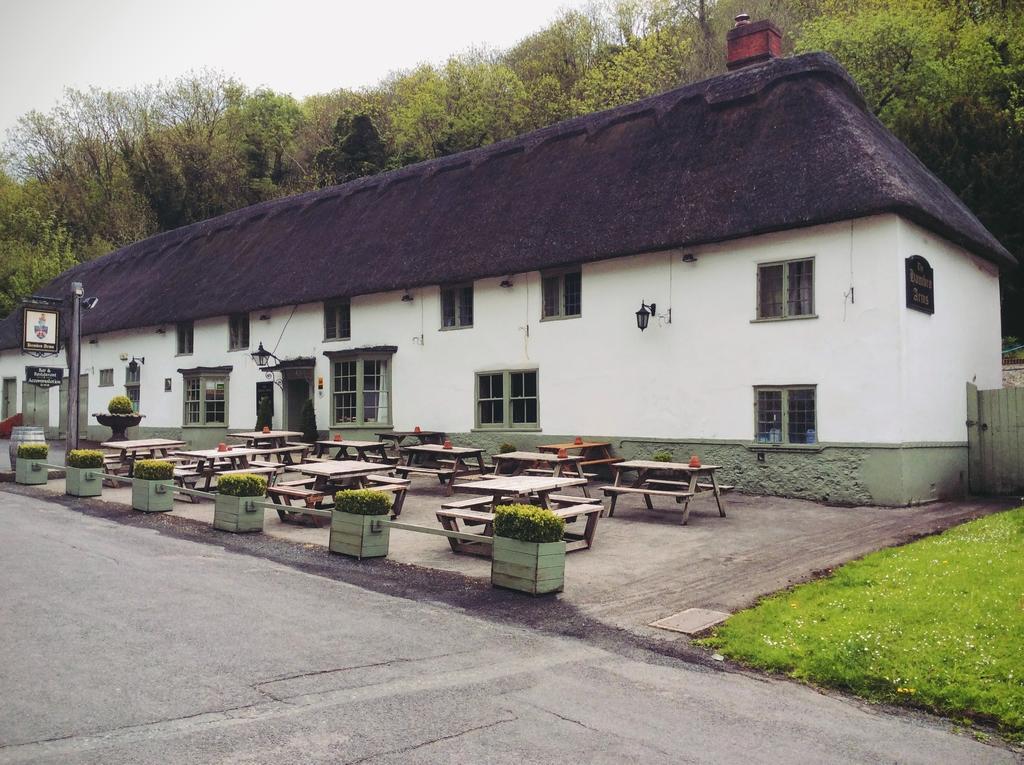 Hambro Arms Hotell Milton Abbas Exteriör bild