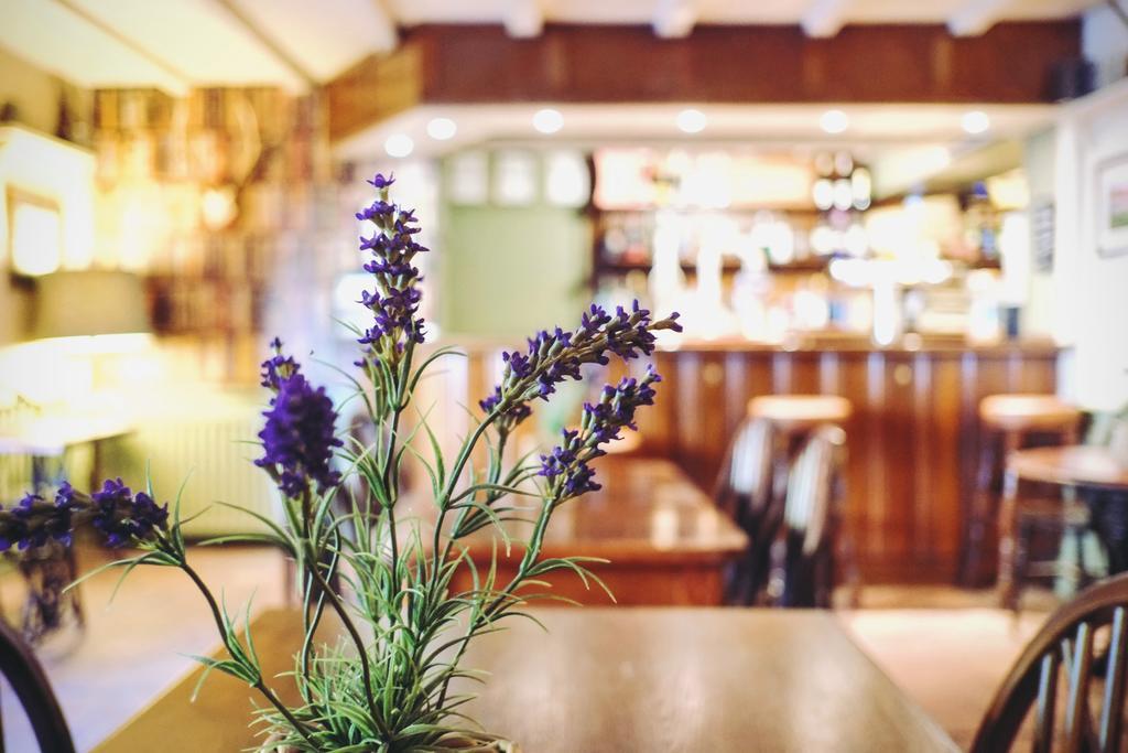 Hambro Arms Hotell Milton Abbas Exteriör bild