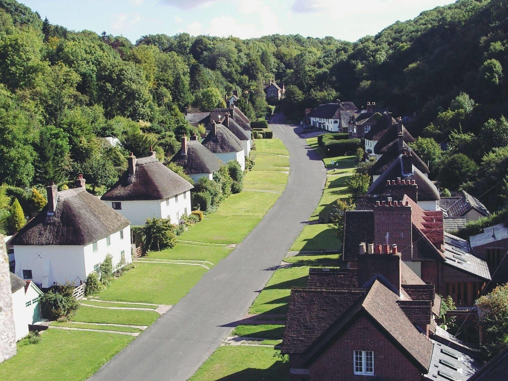 Hambro Arms Hotell Milton Abbas Exteriör bild